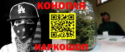 гашик Жуковский