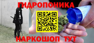 гашик Жуковский