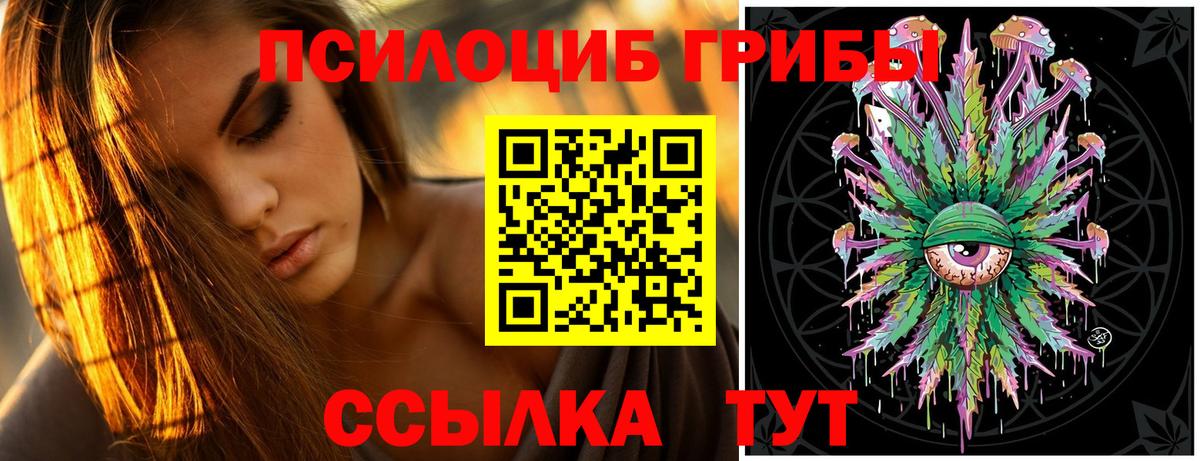 Галлюциногенные грибы GOLDEN TEACHER  Вход с VPN  дарнет шоп  Гурьевск  Псилоцибиновые грибы Psilocybine cubensis 
